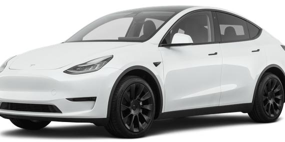 TESLA MODEL Y 2021 5YJYGDEE3MF208018 image